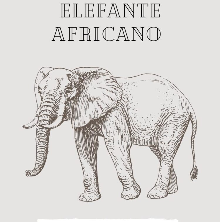 ECOLOGIA DEL ELEFANTE AFRICANO
