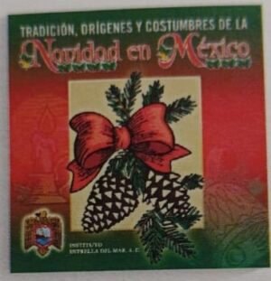 NAVI NAVIDAD EN MÉXICO